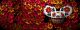 Red Rocks Amphitheatre Travel Packages (incl. Tickets)